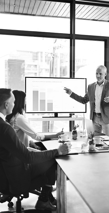 ORGANIZATIONAL & BUSINESS CONSULTING